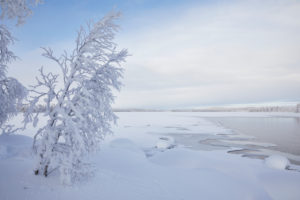 Finland, Lapland, winter, landscape, lake Finland, Lapland, winter, landscape, lake